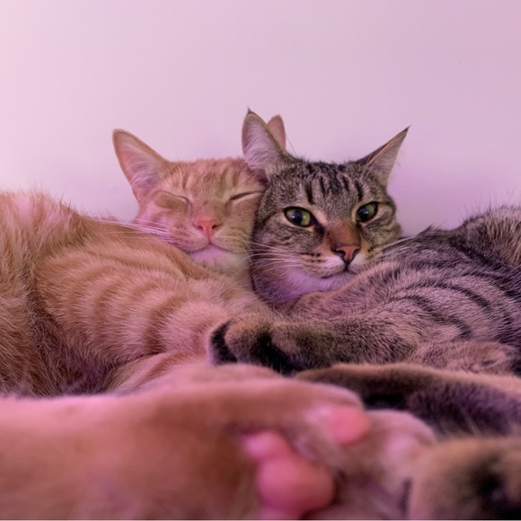 I’m Tassia! - Picture 3 of 3